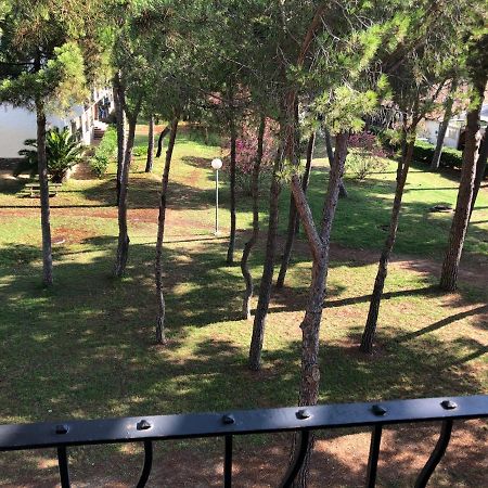 Studio 150M De La Mer Argeles-sur-Mer Ngoại thất bức ảnh
